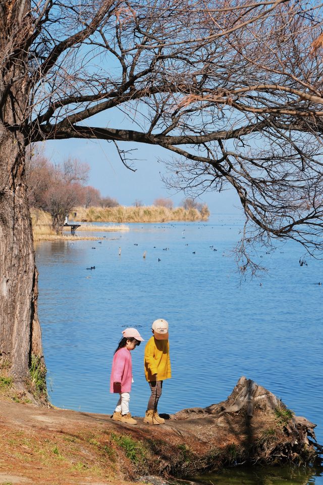 廣州雲南自駕遊｜大理海西3天2夜路線