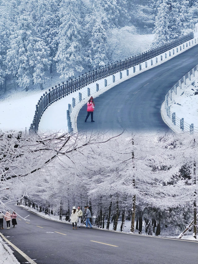 探秘重慶仙女山，一次就上癮的自然之旅