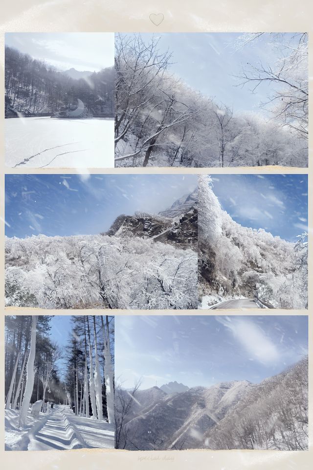 河南看雪的地方旅遊好去處