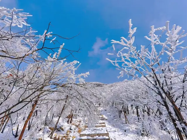 You can see snow within a two-hour drive around Shanghai