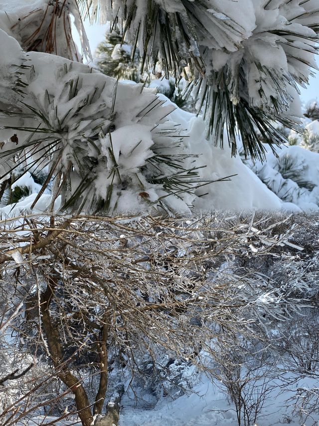 花果山很好下次還要來 剛下過雪後的花果山美的夢幻