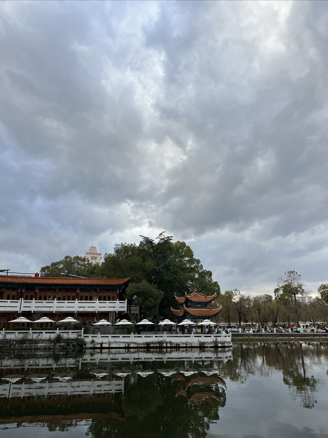 昆明餵海鷗｜不是滇池去不起，而是翠湖公園更有性價比！