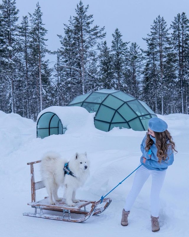 Felix in Finland 🇫🇮✨ Which photo is your favorite? ❤️