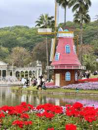 雲台花園鬱金香花展已經開始期待春天啦