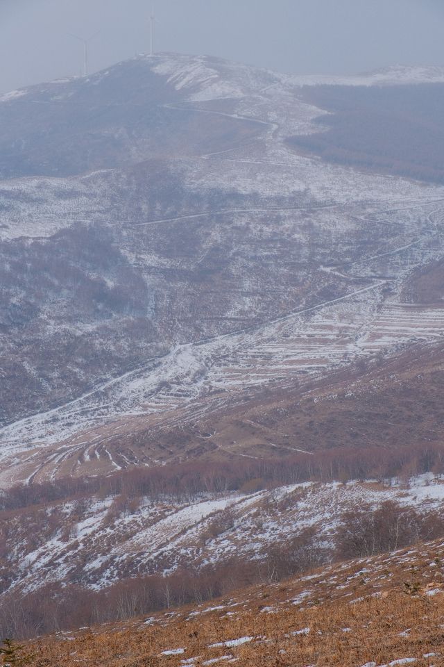 初春崇禮三樑｜又遇風雪交加的山野體驗