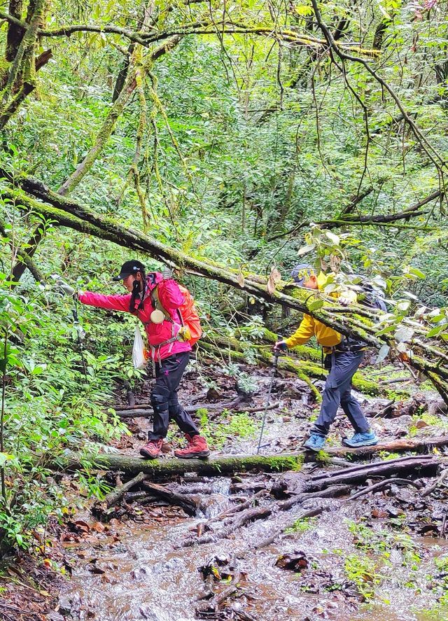 經木香坪反穿鷄足山，這是一條古老的朝聖之路