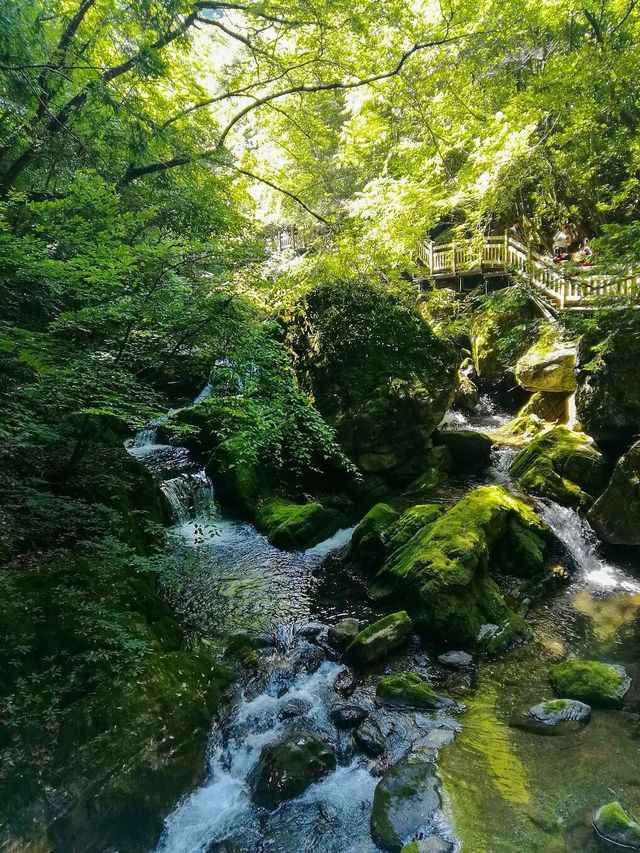 巍巍神農架，華中第一峰，為何是禁區之首