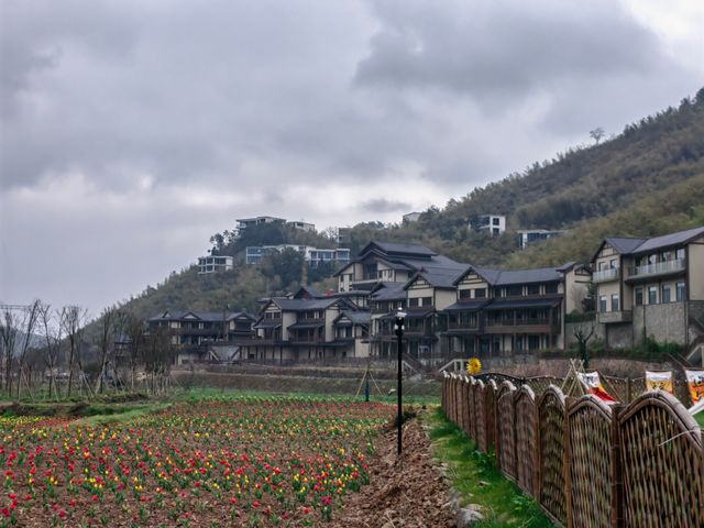 春日的莫干山，逍遙又自在