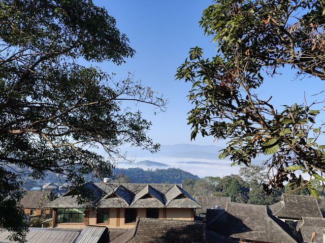 終於來到了隱秘的景邁山，免費世界非遺景點!