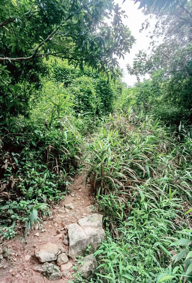 東莞週末小眾溯溪拍照點-大嶺山