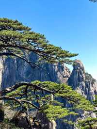 登黃山則天下無山