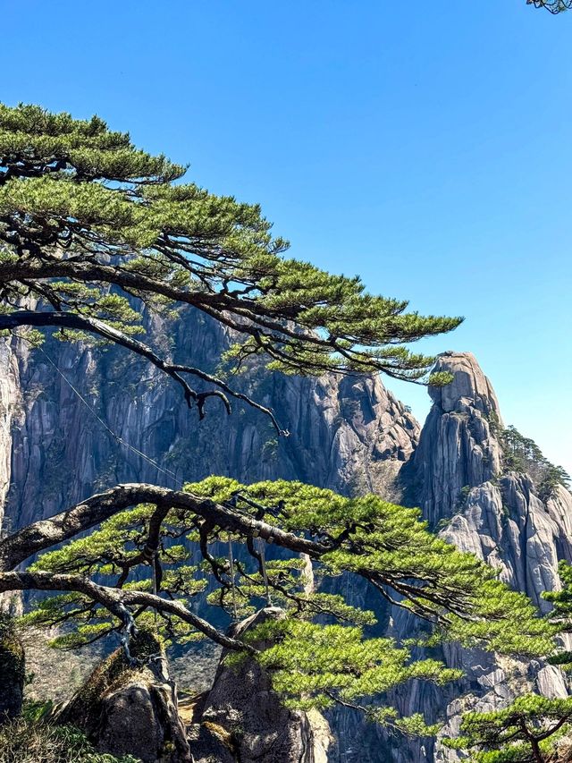 登黃山則天下無山