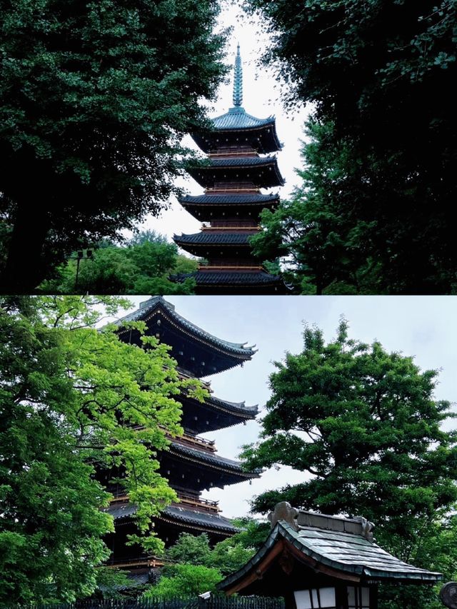 東京第一座公園上野公園