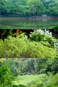 深圳筆架山公園！城市機位落日爬山攻略