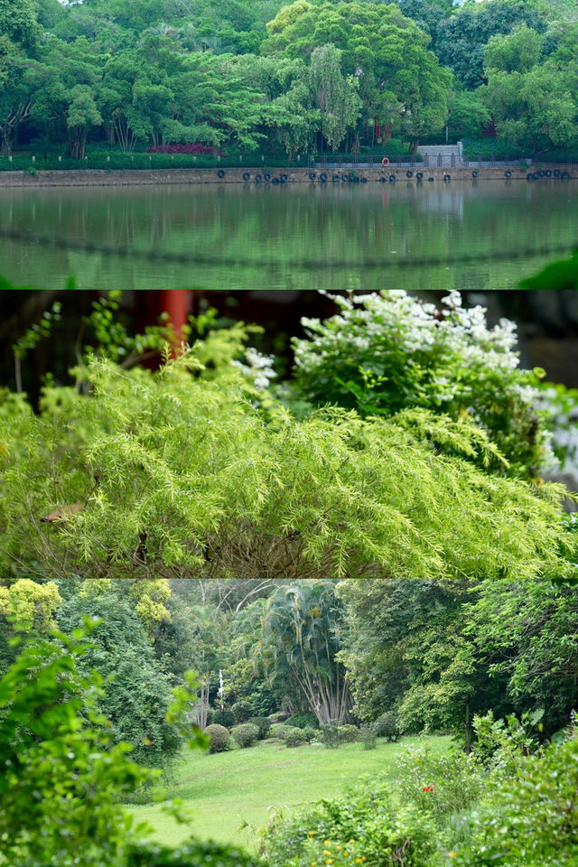 深圳筆架山公園！城市機位落日爬山攻略