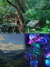 東方娥仙洞爬山好去處