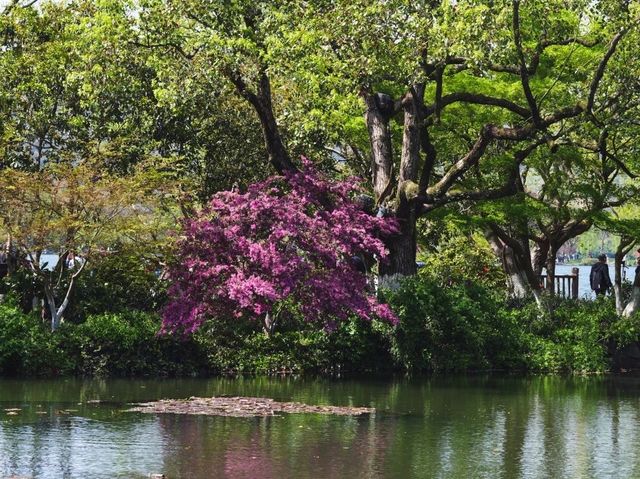 Exploring the Beauty of Xiao Yingzhou Island 