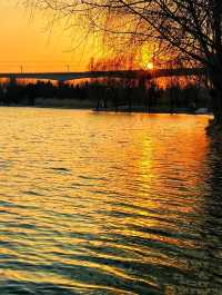鄭州100個免費遊玩寶藏景點——蝶湖公園