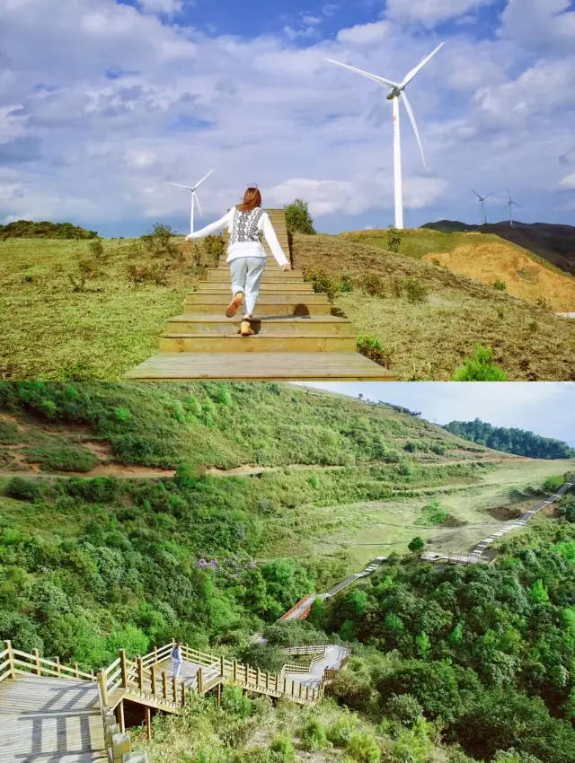 Wumeng Grassland | Disheveled by the wind on the highland pastures