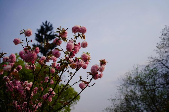 體驗不錯，就是菜太辣啦