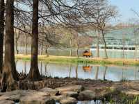 一定要去中山植物園