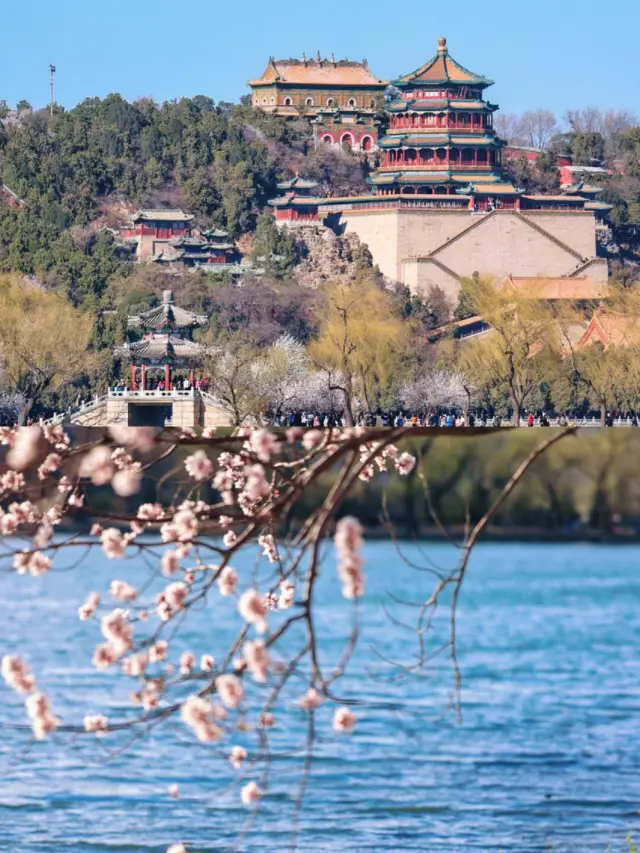 Life advice: When in Beijing in March, you must visit the Summer Palace at least once