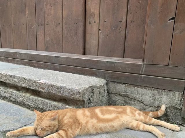 岳陽周邊冷門小景點