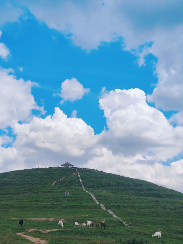 黔東草海風景區