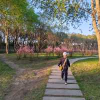 五一期間的太陽島到處都是人