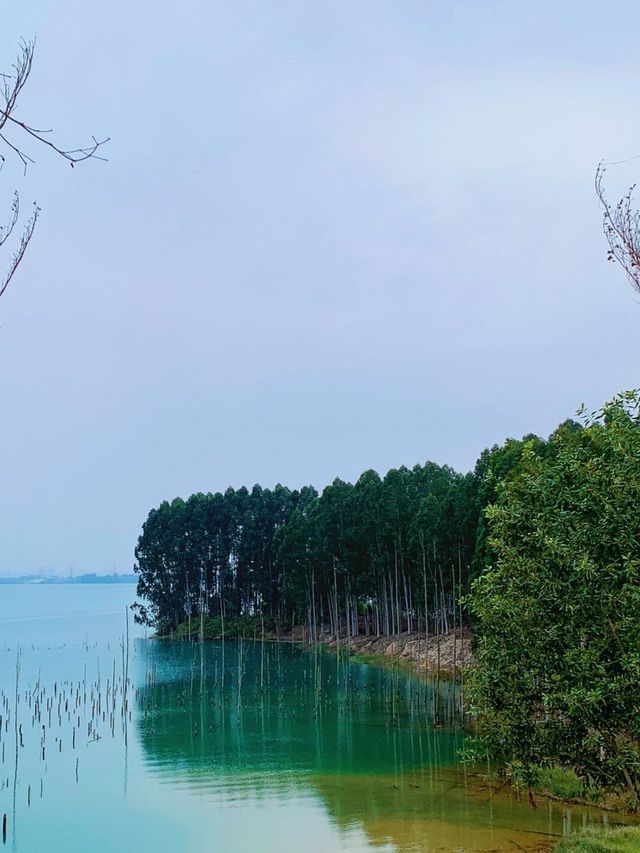 《茂名露天礦公園》藍色湖水