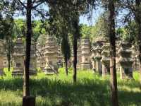 世界文化遺產塔林-登封市嵩山少林寺景區