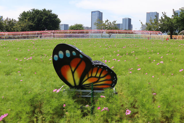 花海公園，攝影愛好者的福地
