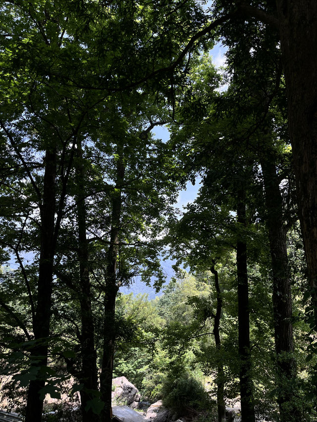 安吉歸舍｜夏天溯溪好去處