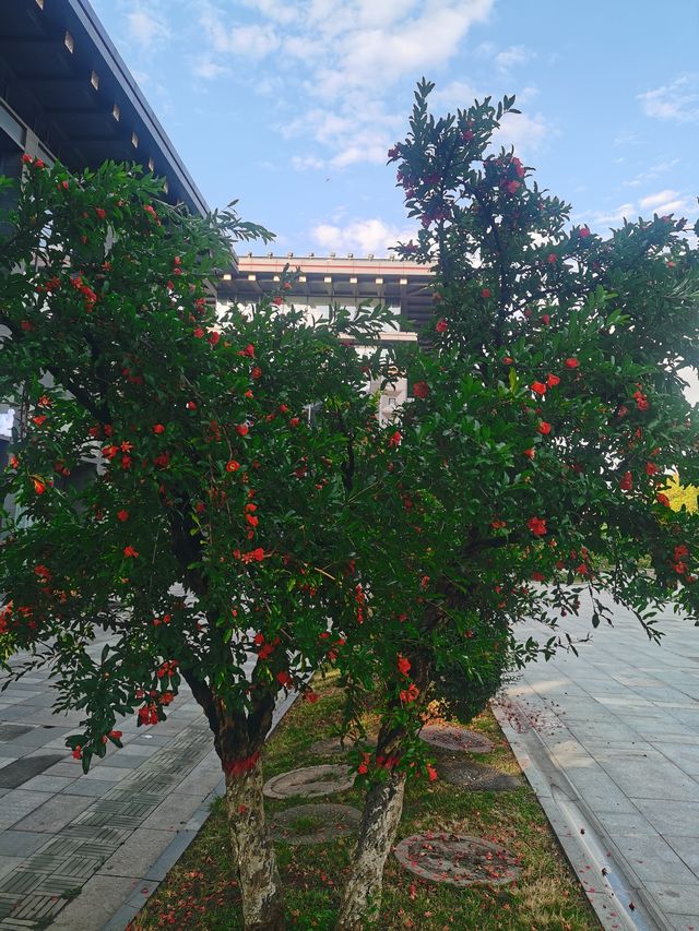 在太陽市遛彎 在太陽市遛彎