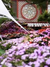 花開無盡夏浪漫繡球花海