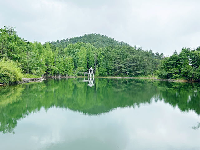 一言難盡的景區｜四明山森林公園