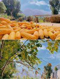 高考後畢業旅行狂歡地！河北山水間轟趴別墅