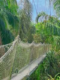Oxygenating Forest Trekking Adventure in Nigeria