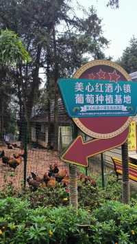 帶娃到美心紅酒小鎮，懷舊我們心中的“洋人街”