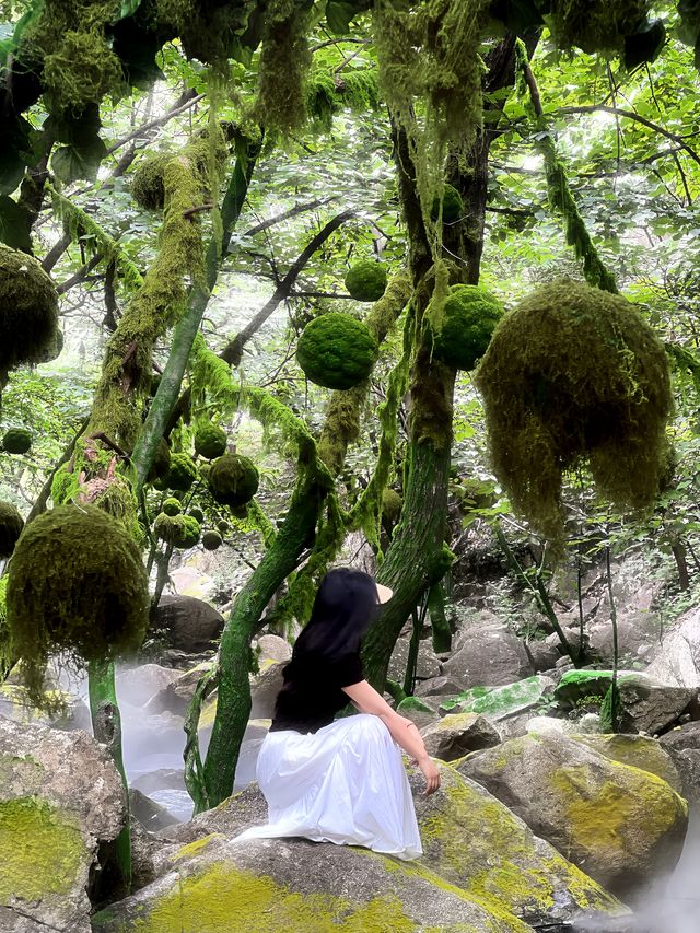 愛麗絲仙境|魯山神牛大峽谷