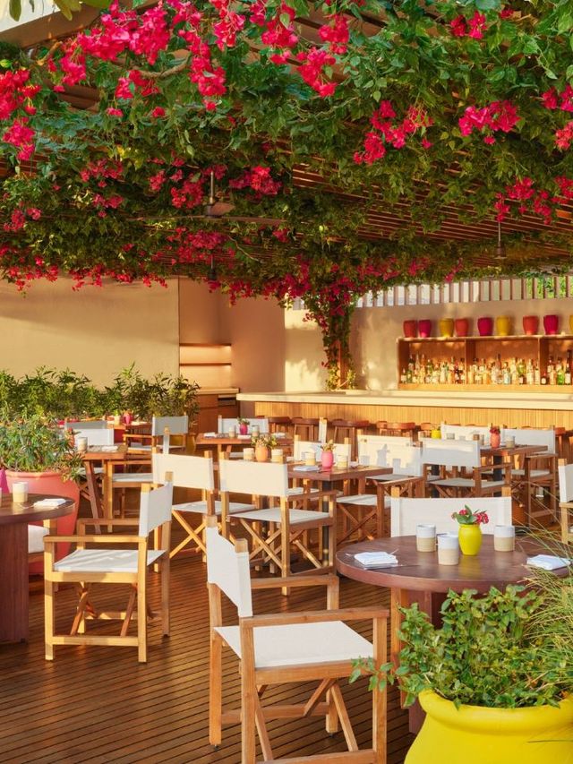 🌴✨ Riviera Maya's Luxe Escape: Edition Hotel Kanai 🏖️🍹