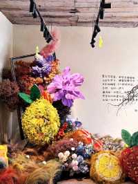 報告，徐匯永福里驚現巨型花蝴蝶！！