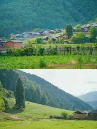 被嚴重遺忘的雲南古村,生活著白狼後裔~