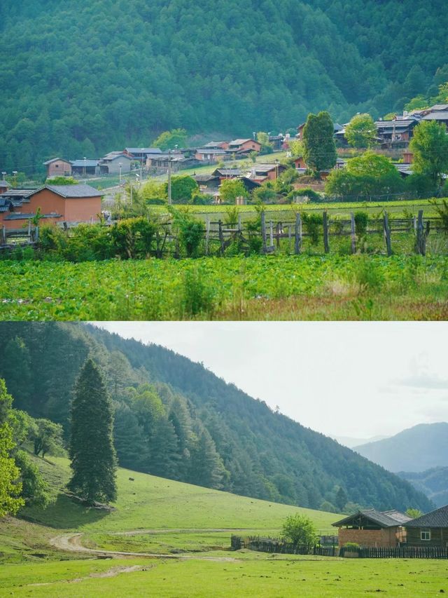被嚴重遺忘的雲南古村,生活著白狼後裔~ 被嚴重遺忘的雲南古村,生活著白狼後裔~