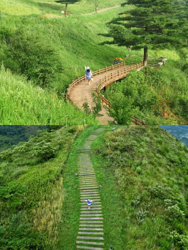 湖北“阿勒泰”完全不輸新疆～||一到夏天，只想找個涼快的地方