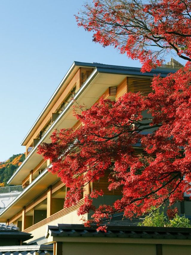 🌸 Kyoto's Hidden Gem: Luxurious Onsen Hotel Experience 🏯✨