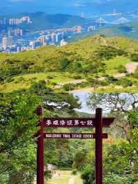 【香港大帽山】浪漫山谷綠意🏖️，城市中的宮崎駿漫畫夢幻景點！🌿🌄🌌