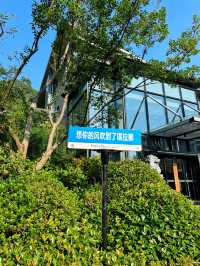住進群山環抱的竹海，來一場森系療癒