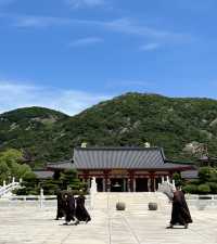 寺廟的神秘韻味，普陀山學院