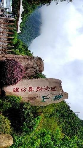 莽山國家森林公園保姆級旅遊攻略